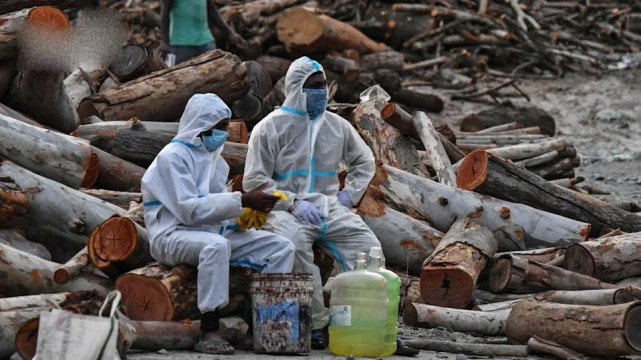 印度政客称病毒也有生存权网友你跟它幸福生活去吧