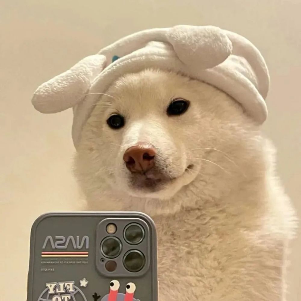 头像前程似锦其实是告别的意思