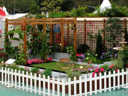 若你家有庭院不管大小都别闲置种这几种花让你身处桃园仙境