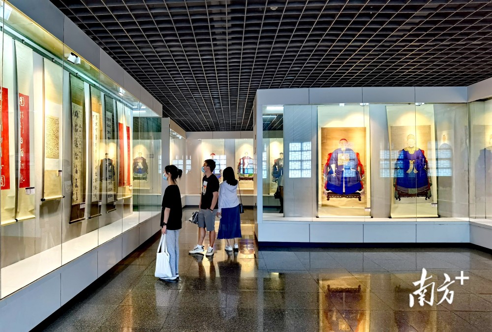 走进三水博物馆一窥距今8000多万年的恐龙骨骼化石