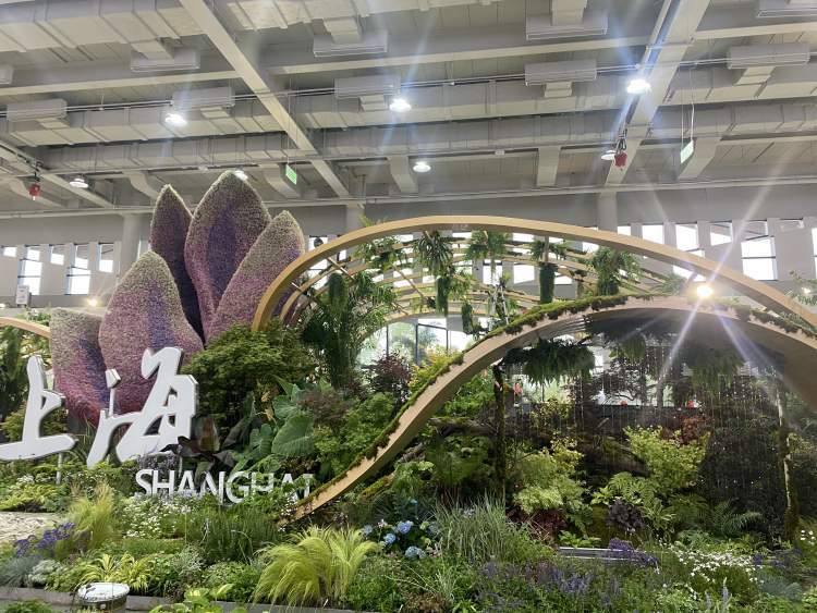 开花最高的凤梨,株型最大的凤梨都在花博会上海馆,你看到了吗?