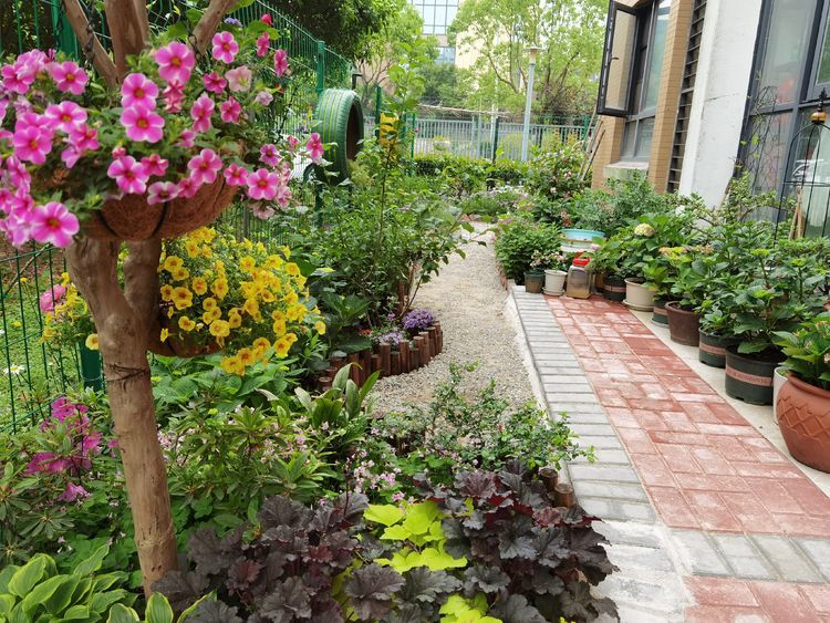 小區一樓60㎡庭院改造利用業餘時間造花園養花種菜快樂無比