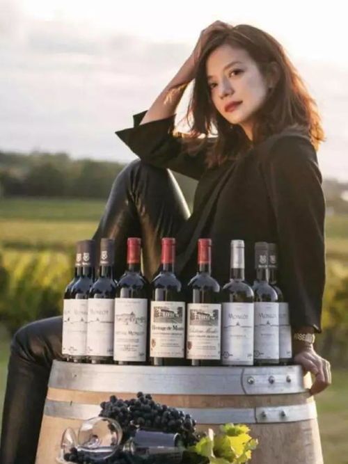 10年前,赵薇买下法国顶级酒庄,当初花了3000万如今挣了多少钱?