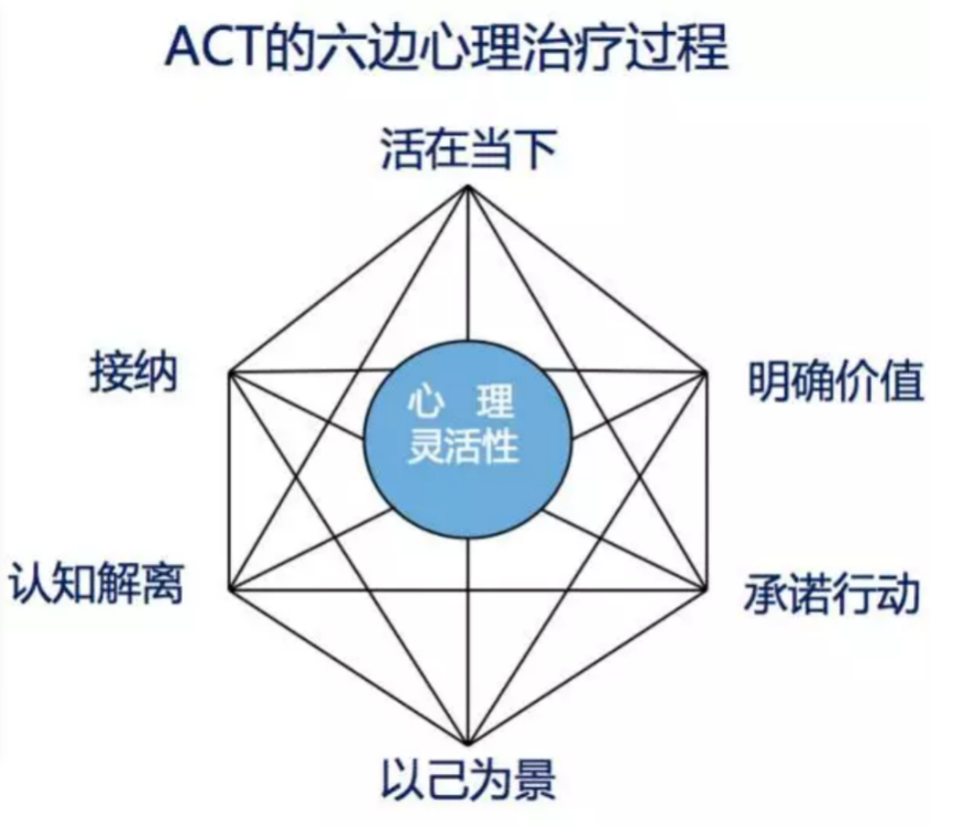 act的六边心理治疗模型