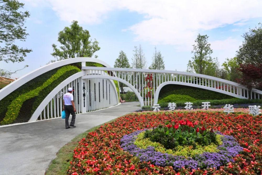花博会五天倒计时,部分展区先睹为快
