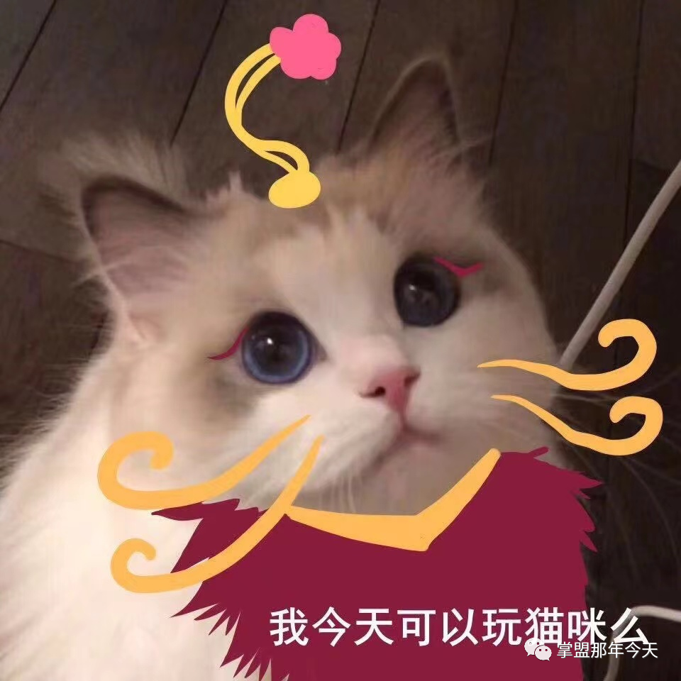 0515那年今天魔法猫咪悠米上线国服