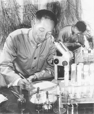 百年党史百人讲第53期1973年一粒小小的种子改变了世界