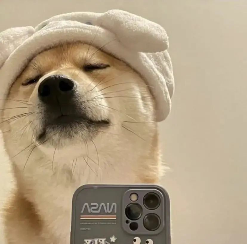 这沙雕头像就是存不够鸭～_腾讯新闻