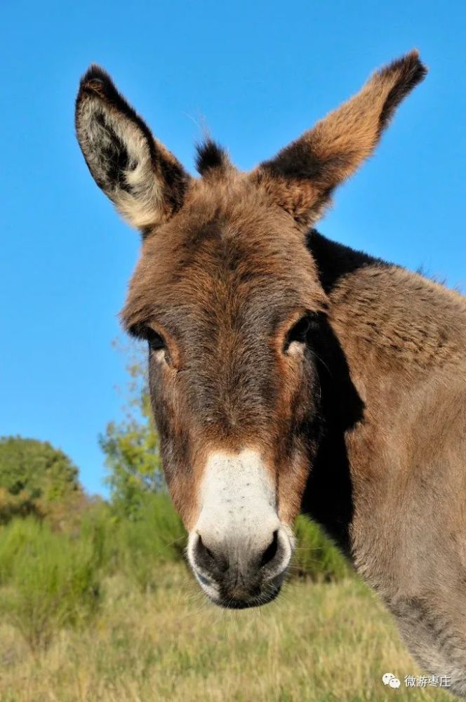 664_1000竖版 竖屏