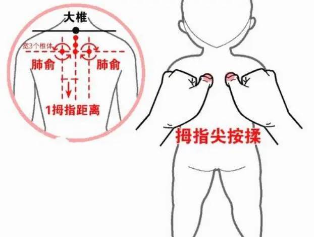 身体直立,按揉背部的"肺俞穴"处.