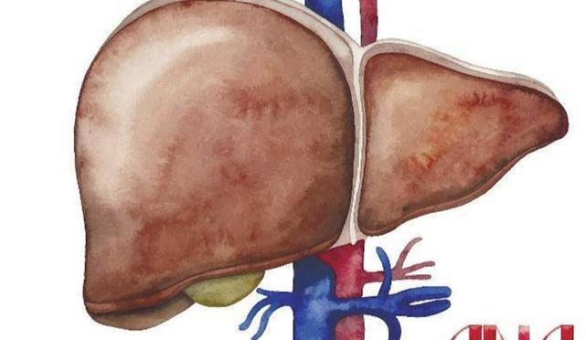 肝脏"毒素"排不出?手上可能会有这3个表现,希望你一个都没有