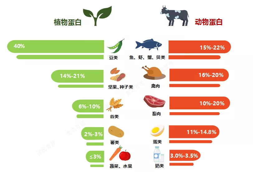 吃植物蛋白好还是动物蛋白好