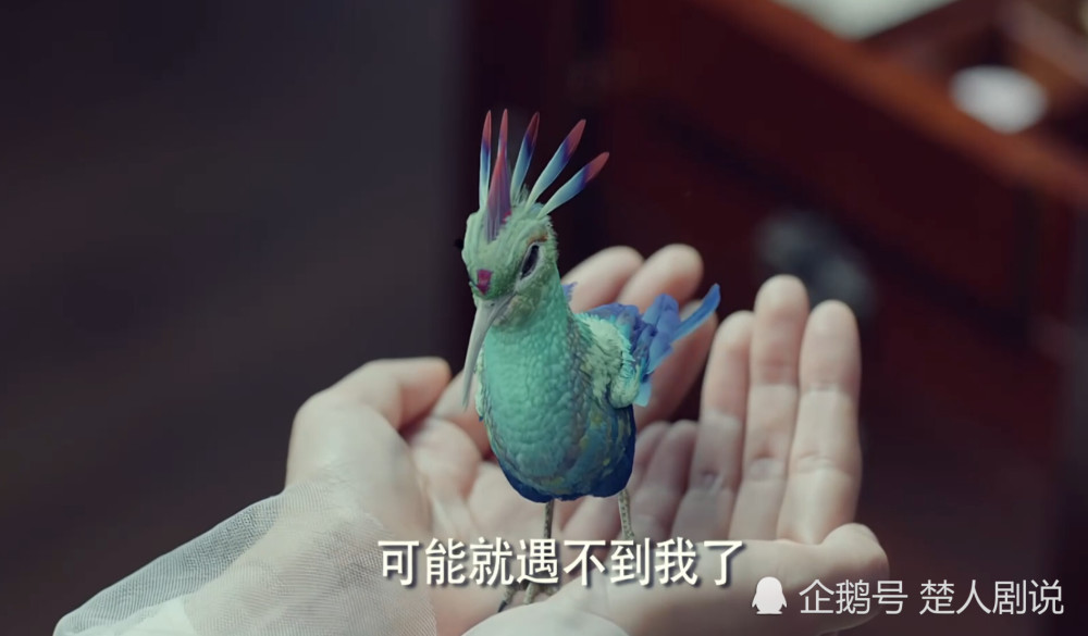 遇龙:鸟妖青青就是一个彩蛋,祝绪丹如何看?_腾讯新闻