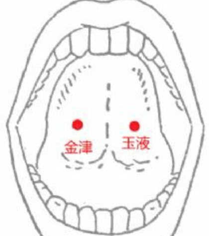 粟龍教授解讀吞嚥功能障礙打開吞嚥障礙通路化解如鯁在喉難題