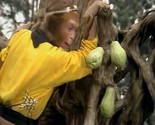 孙悟空为何不把人参果分给白龙马?不是忘了,而是他发现了白龙马秘密