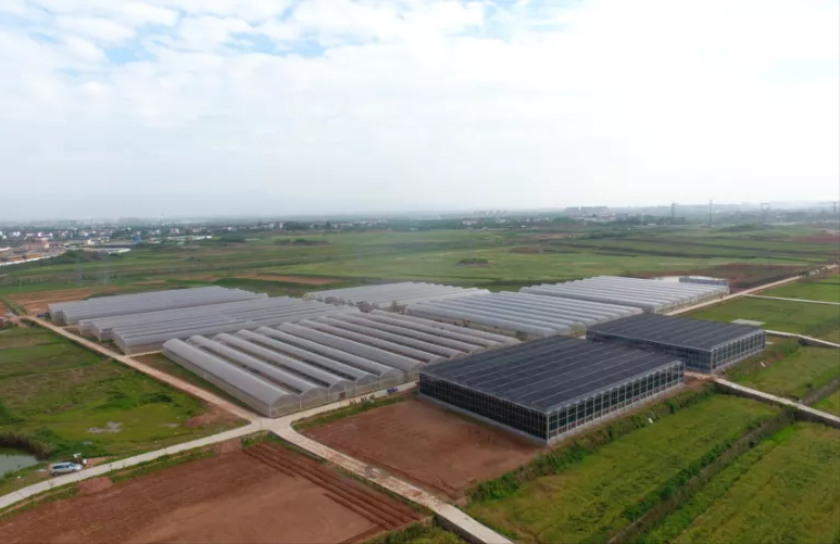 近日,由安徽中环控股集团投资建设的浙江衢州新田铺田园康养综合体