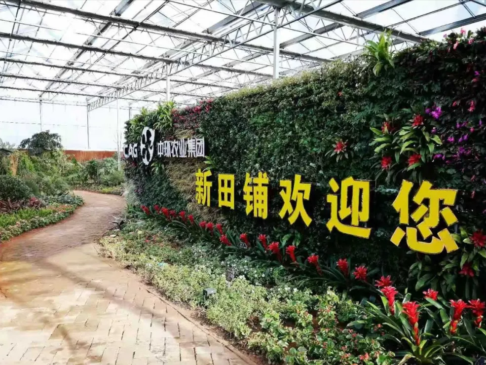 近日,由安徽中环控股集团投资建设的浙江衢州新田铺田园康养综合体