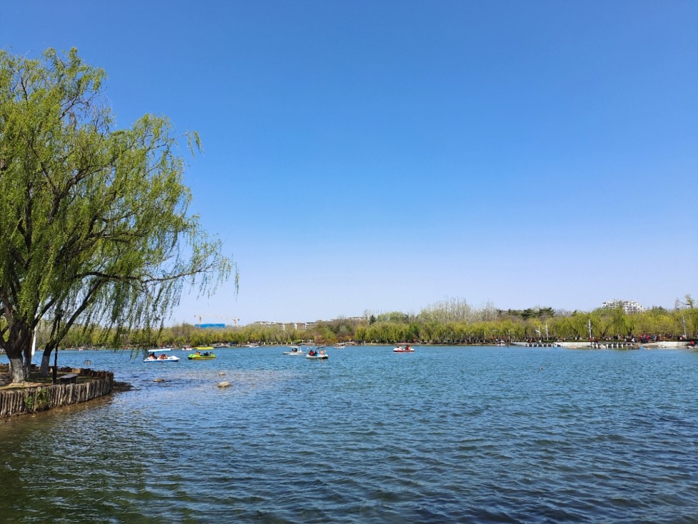 青岛自驾游世纪公园打卡种草世纪公园位于青岛市城阳区