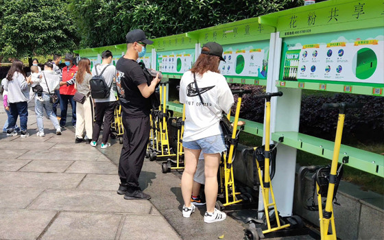 共享童车景区工作人员眼中的花粉共享童车