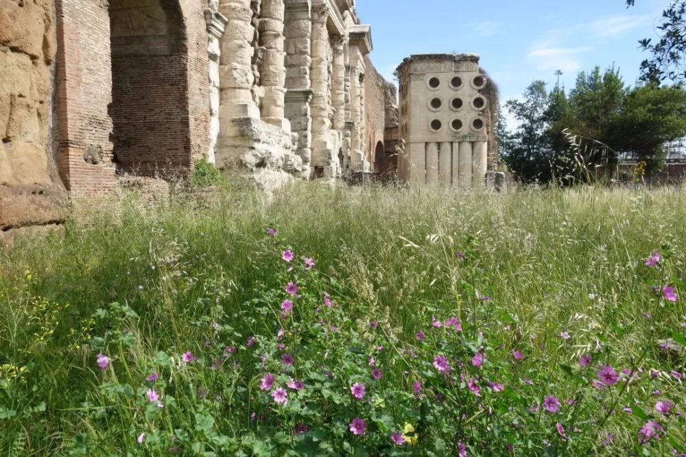 古老vs新生城市荒野该何去何从