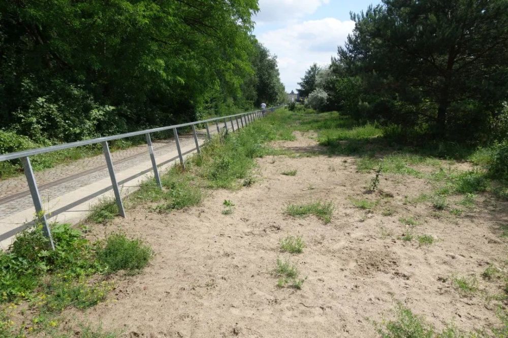 古老vs新生城市荒野该何去何从