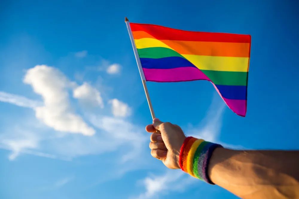 挥舞的彩虹旗    图源:站酷海洛如果是公立医院,他们会向卫生主管部门