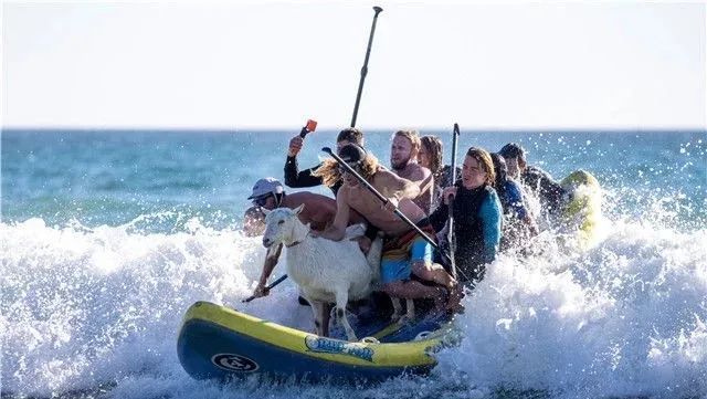 夏威夷沙滩冲浪馆_沈阳夏威夷冲浪馆_沈阳夏威夷沙滩冲浪馆