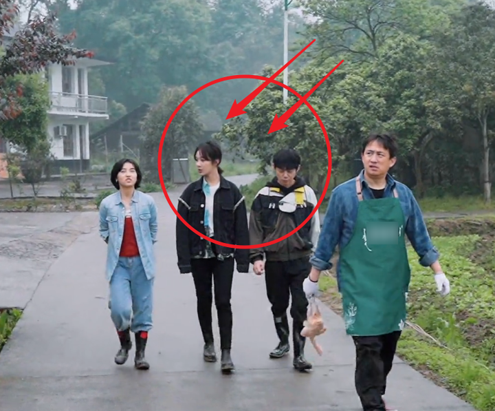 何炅真有172cm与167cm的杨紫同框时有无说谎很明显