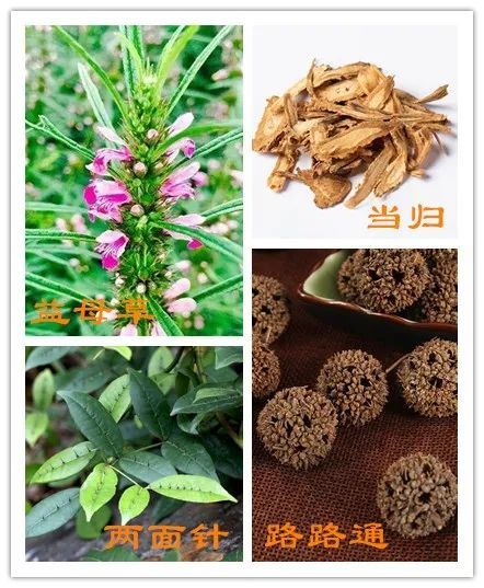 这三组中药常用来活血化瘀