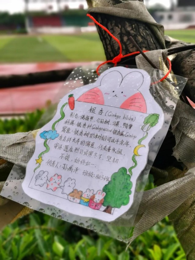 的观赏价值,金秋时节,黄桂飘落,香飘十里,桂花还可用来制作多种美食