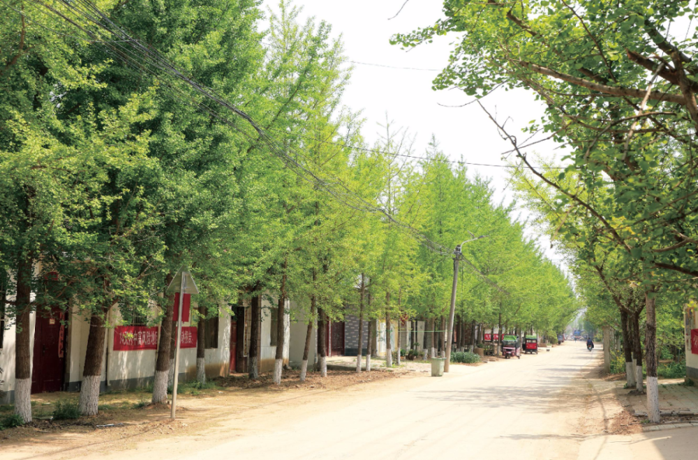 村民身边的暖心人——记江苏省第十三届人大代表,邳州市陈楼镇调解员