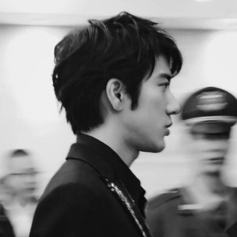 头像王力宏头像合集