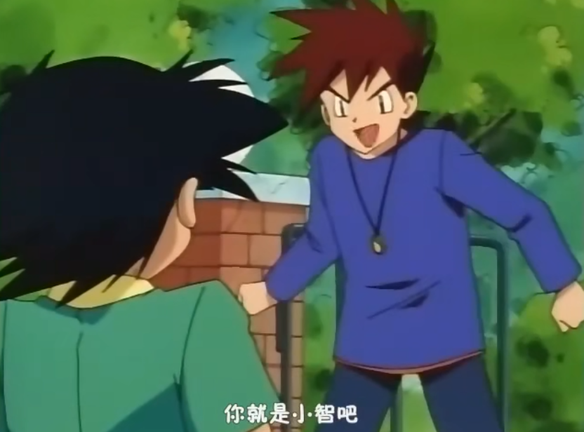 但是因为这天有四个人到十岁,小智起的晚,御三家已经被其他三人拿走了