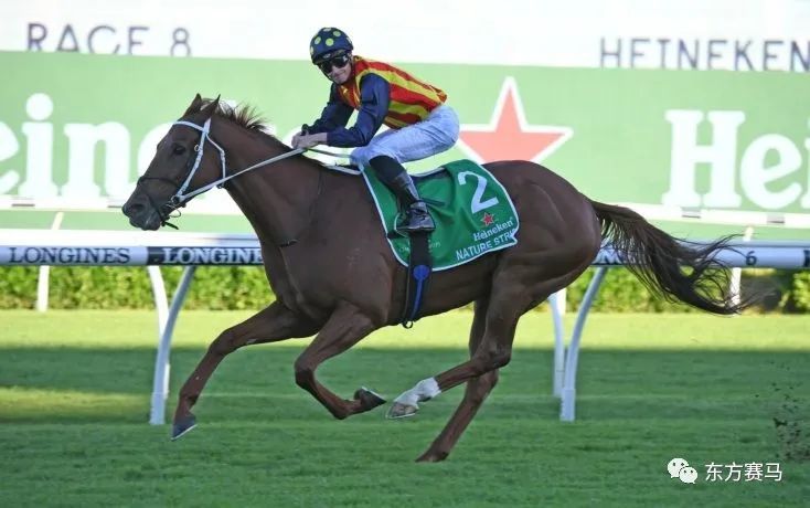 澳洲马王"绿化带"登顶世界最佳赛马排名