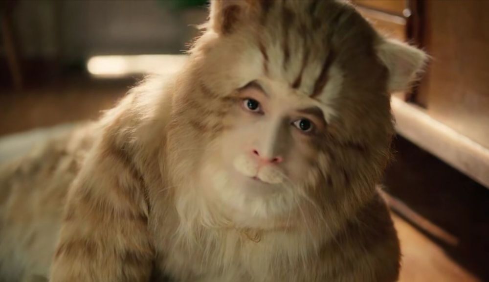 胡歌演十六岁橘猫活灵活现用眼神说出了喵星人的心中诉求