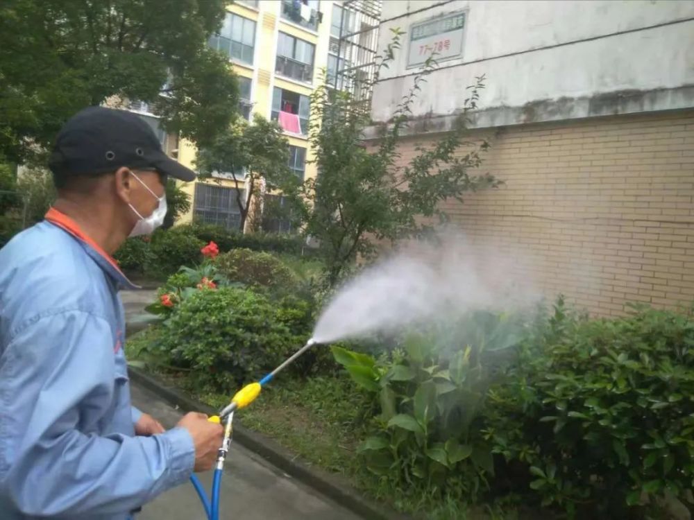 蚊子來勢洶洶,柘林鎮的防蚊大作戰開始啦.