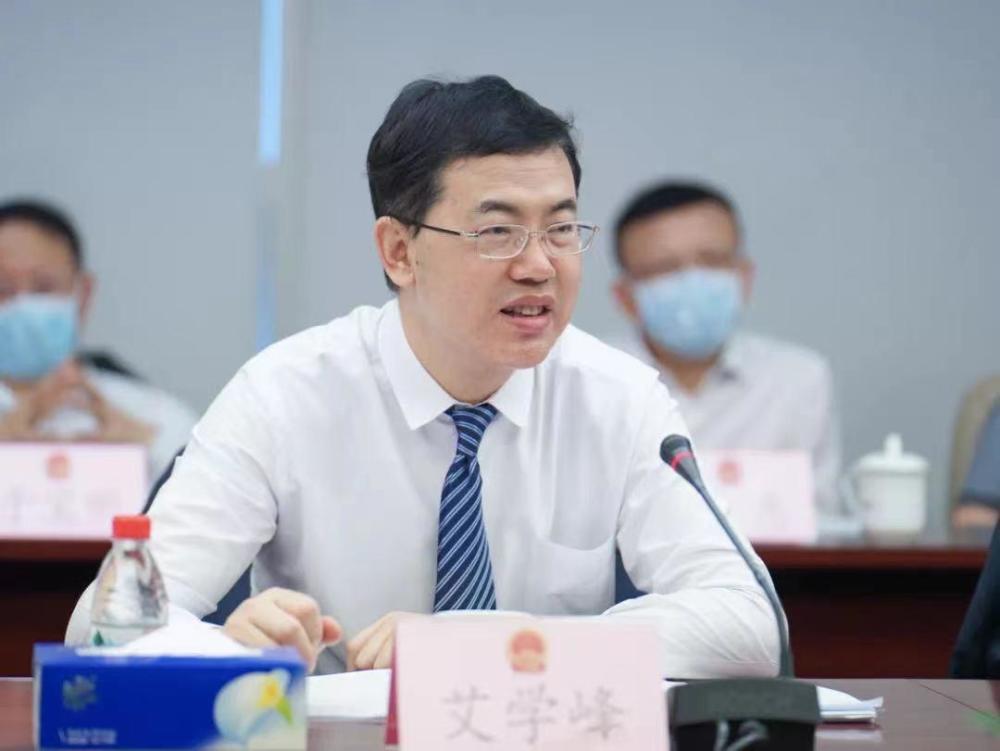 大鹏新区代表团:分组审议谈发展,大鹏后发赶超做好五篇文章