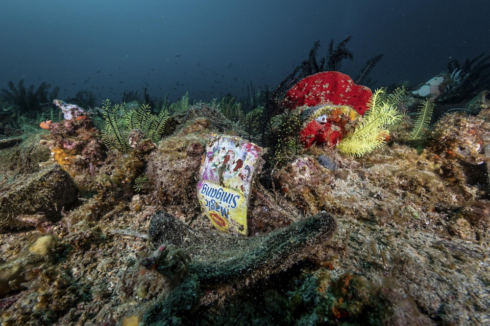 海洋垃圾之殇人类每年至少向海洋排放850万吨垃圾对海洋生态环境产生