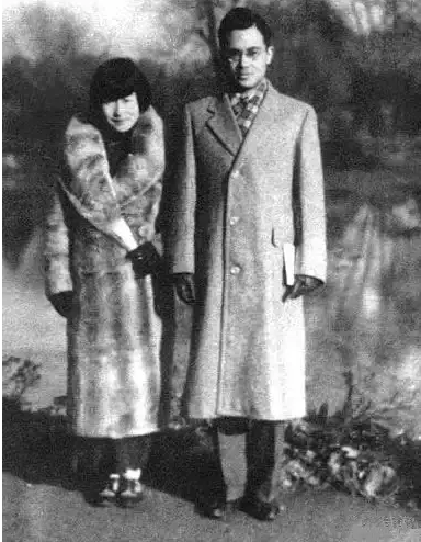 为何众人都在羡慕杨绛冰心和樊锦诗的爱情