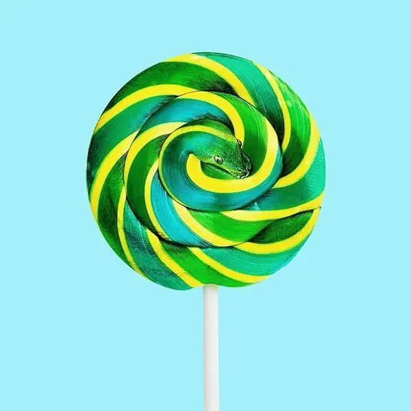 他将两个不相干的物品组成难以置信的新物种这创意绝了