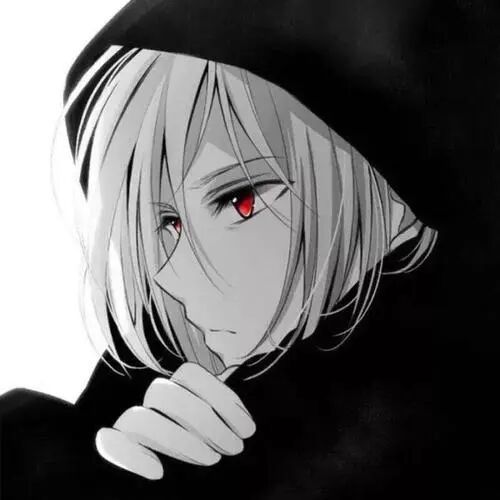 《十宗罪5》摘抄|雪崩时,没有一片雪花觉得自己有责任.