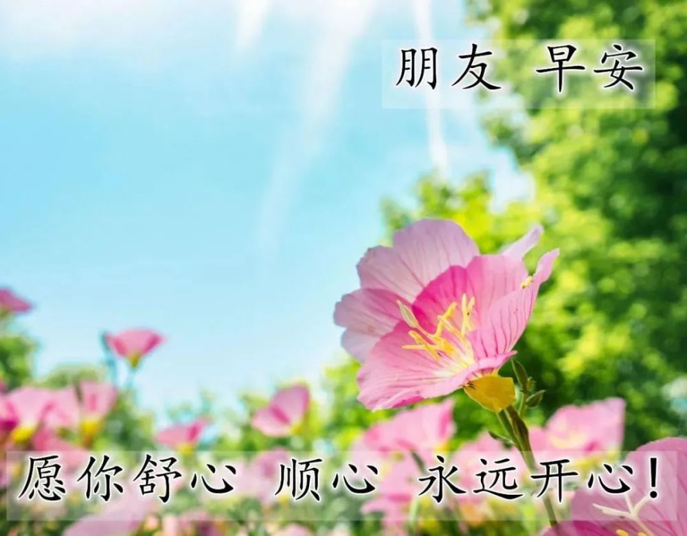 朋友圈溫馨早上好祝福圖片分享每日最新早安祝福帶字圖片