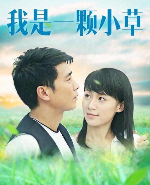 紧接着,她和保剑锋合作了同样"悲情又励志"的电视剧《我是一棵小草》
