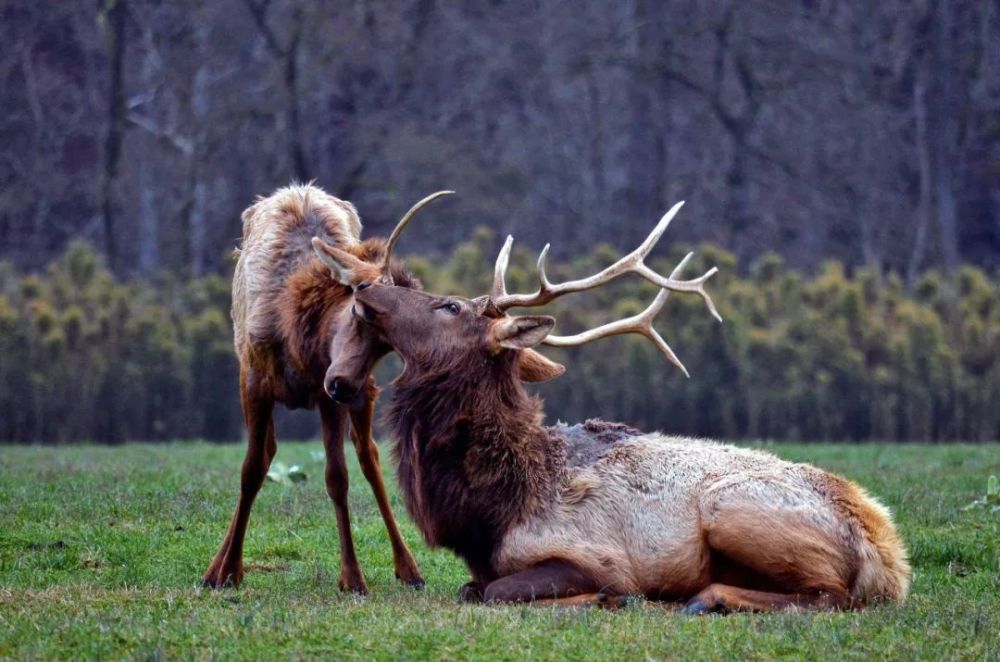 photograph by morgan marinoni狩獵季節為迎接安寧日而準備的一系列