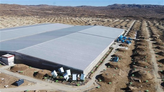 lhaaso重磅:银河系粒子加速能力超乎想象