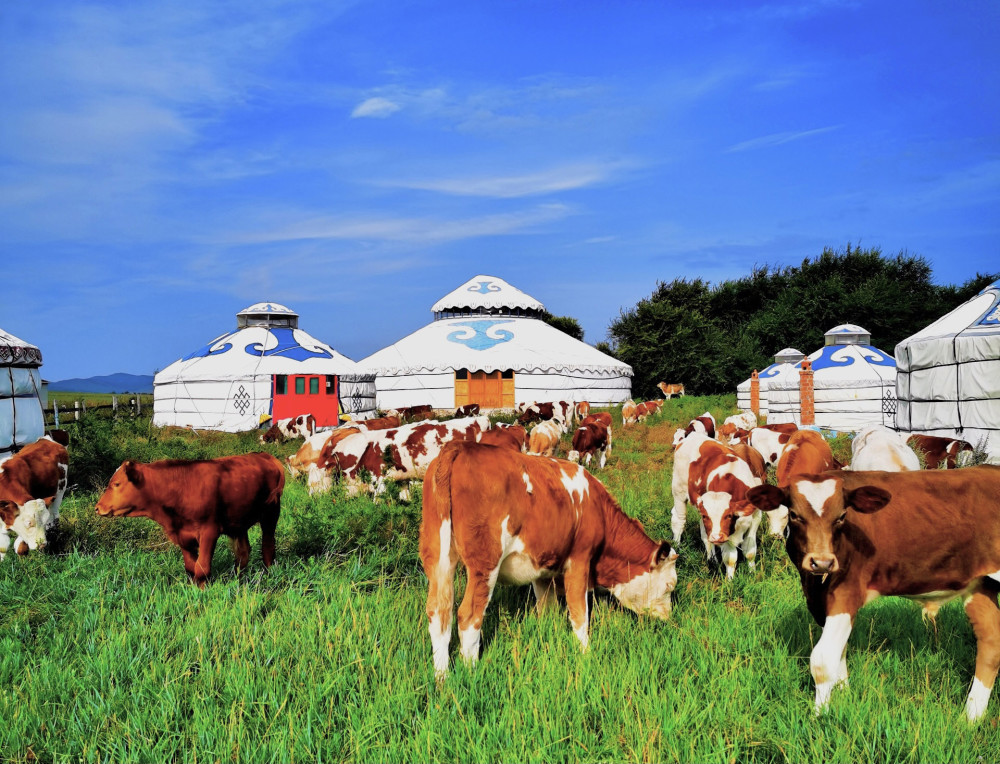 受访者供图新华社呼和浩特5月18日电(记者张雨阳,于嘉)五月的内蒙古