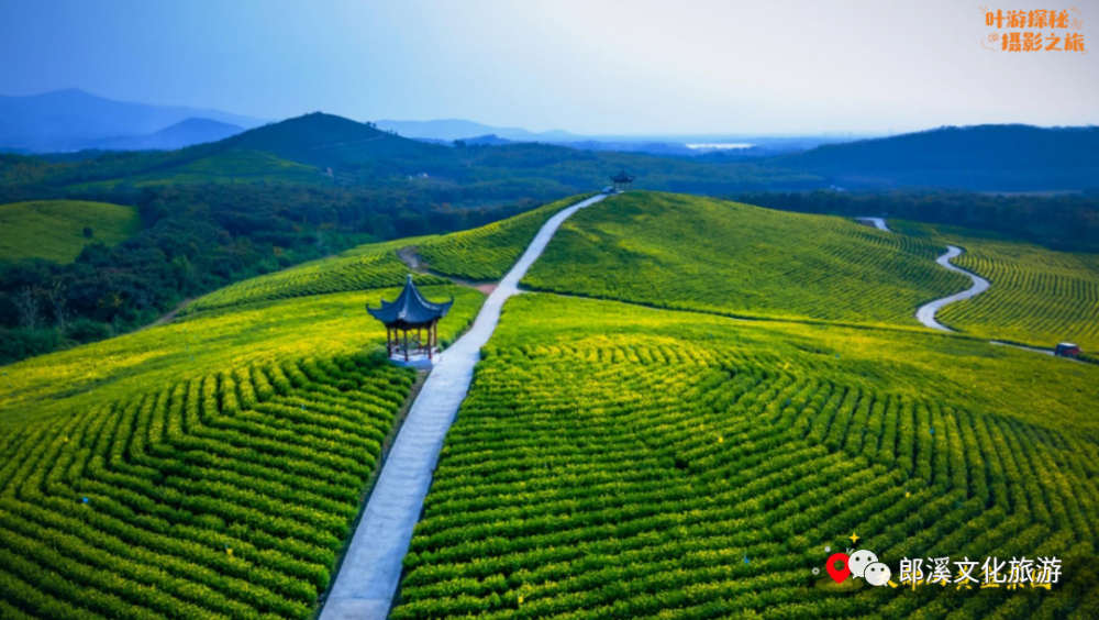 不同人眼中的郎溪,居然這麼不一樣