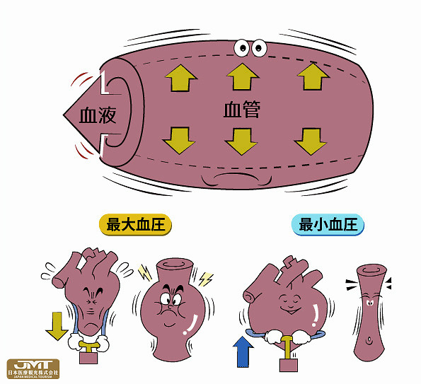 上面的数值被称为最高血压(收缩压),下面的数值被称为最低血压(舒张压