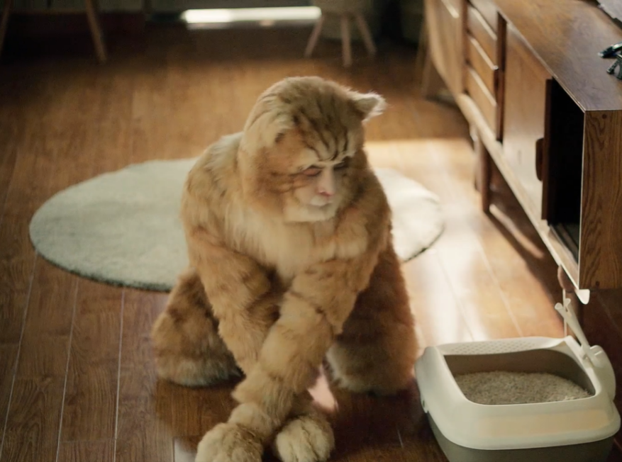 39岁胡歌破格出演橘猫趴地舔毛样子滑稽网友直呼太敬业