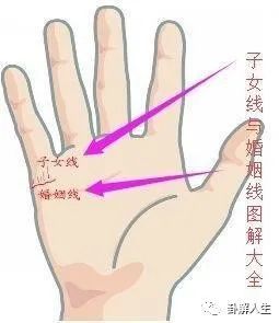 手相子女线解析